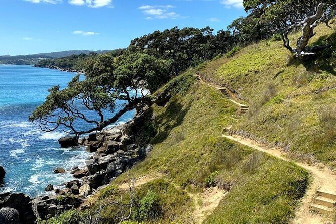 Waipu Milkyway Cave and East Coast Day Tour from Auckland - Practical Details and Value