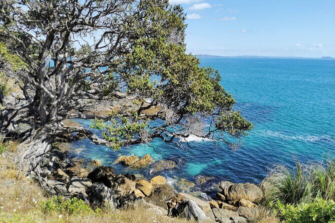 Waipu Milkyway Cave and East Coast Day Tour from Auckland - What Travelers Say