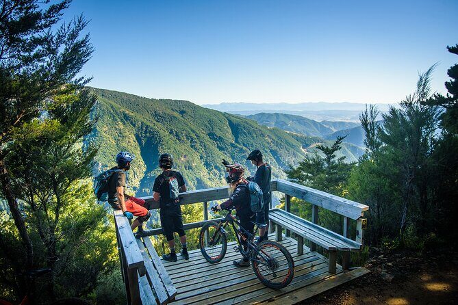 Wairoa Gorge MTB Park Private Shuttle Day - The Day in Detail: What to Expect