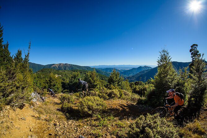Wairoa Gorge MTB Park Private Shuttle Day - Why We Think This Tour is a Great Deal