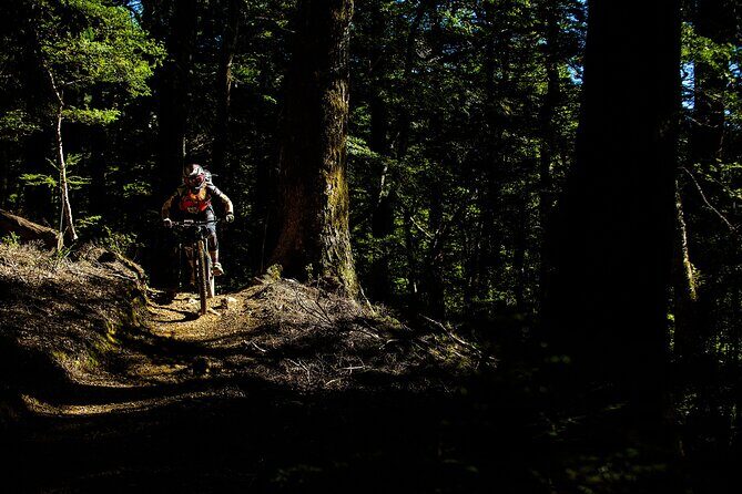 Wairoa Gorge MTB Park Private Shuttle Day - Final Thoughts: Is It Worth It?