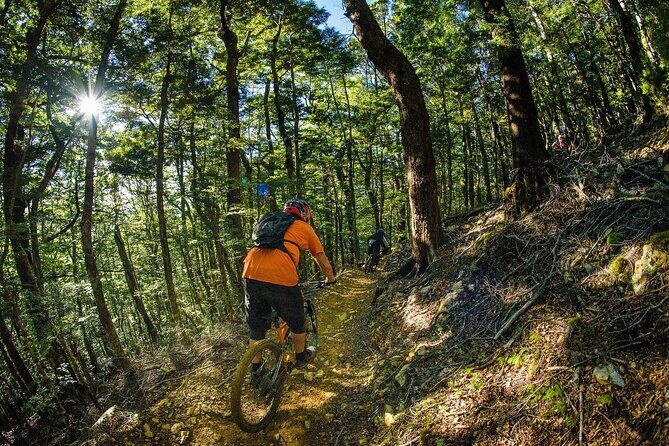 Wairoa Gorge MTB Park Private Shuttle Day - Final Words