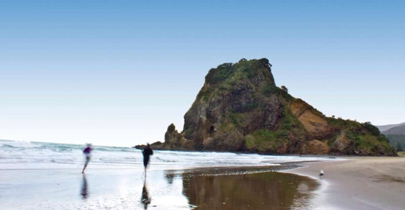Waitakere Ranges Wilderness Experience Tour from Auckland - Who Is This Tour Best For?