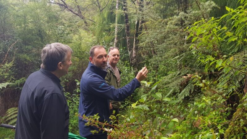 Waitakere Ranges Wilderness Experience Tour from Auckland - FAQ
