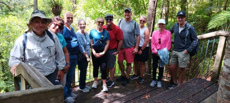 Waitangi: Kawiti Glow Worm Cave & Opua Kauri Forest Walk - Scenic Viewpoints & Return to Waitangi
