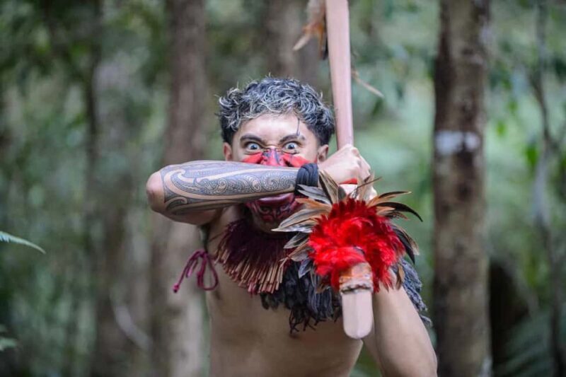 Waitangi Treaty Grounds Guided Tour - An Introduction to the Tour Experience