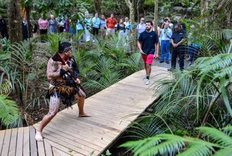 Waitangi: Treaty Grounds Hng and Concert Combo Pass - Exploring the Grounds and Museums