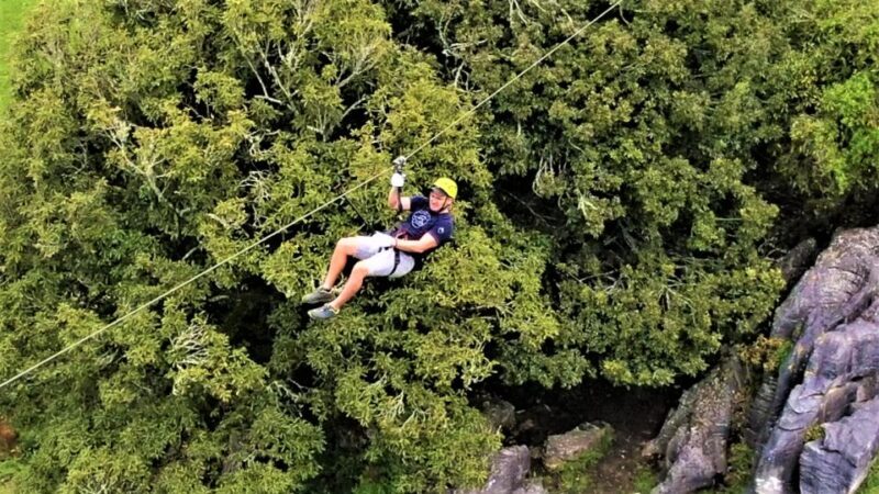 Waitomo Caves 1-Kilometer-Long Zipline Tour - Authentic Experiences and Highlights from Reviews