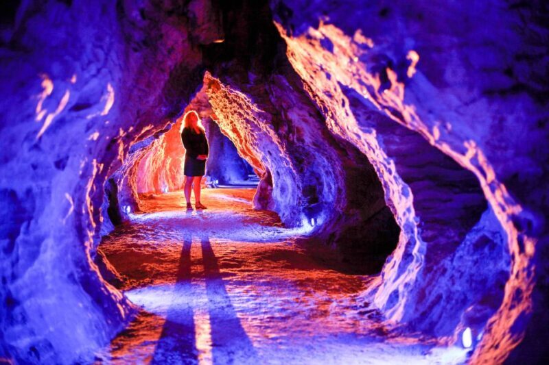 Waitomo Caves: Ruakuri Cave 1.5 Hour Guided Tour - Key Points
