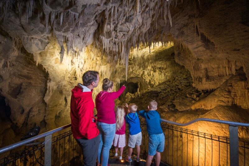 Waitomo Caves: Ruakuri Cave 1.5 Hour Guided Tour - The Experience Level and Practical Aspects