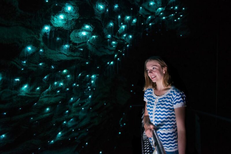 Waitomo Caves: Ruakuri Cave 1.5 Hour Guided Tour - The Role of the Guides