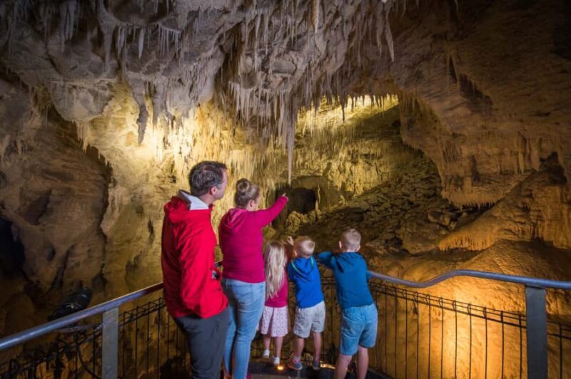 Waitomo Caves: Ruakuri Glowworm Cave Guided Walking Tour - The Experience: What to Expect