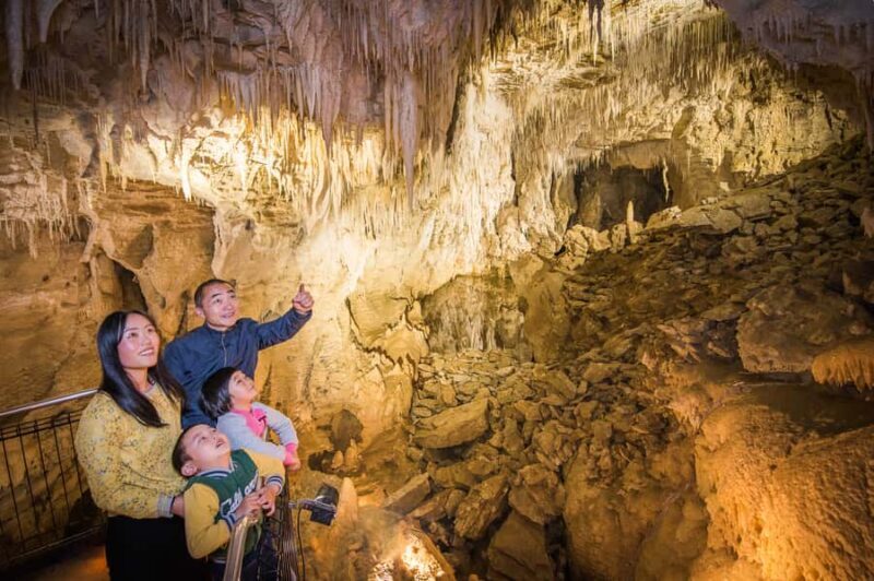 Waitomo Caves: Ruakuri Glowworm Cave Guided Walking Tour - The Sum Up: Who Is This Tour Best For?
