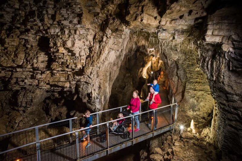 Waitomo Caves: Ruakuri Glowworm Cave Guided Walking Tour - Frequently Asked Questions