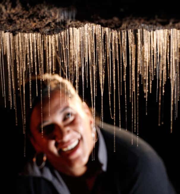 Waitomo Caves, Zealong Tea & Kiwi House Private Tour - Who Will Love This Tour?