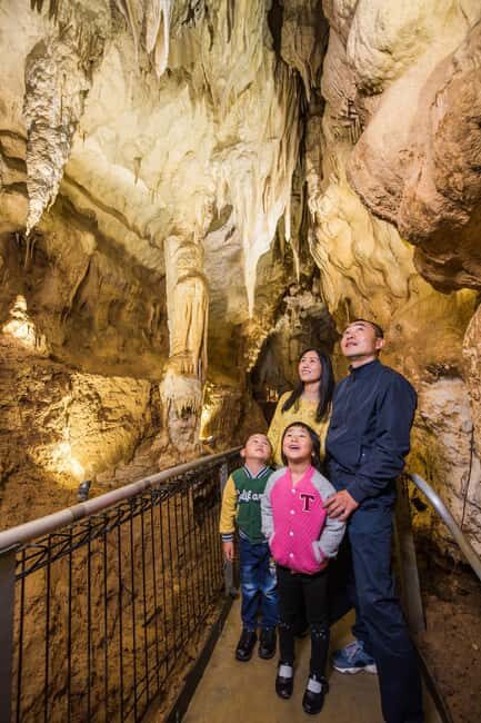 Waitomo Caves, Zealong Tea & Kiwi House Private Tour - Final Thoughts