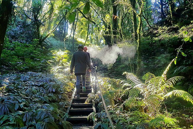 Waitomo - Eco Adventure Glowworm Cave Tour - Off the Beaten Track - Introducing the Waitomo Glowworm Cave Experience