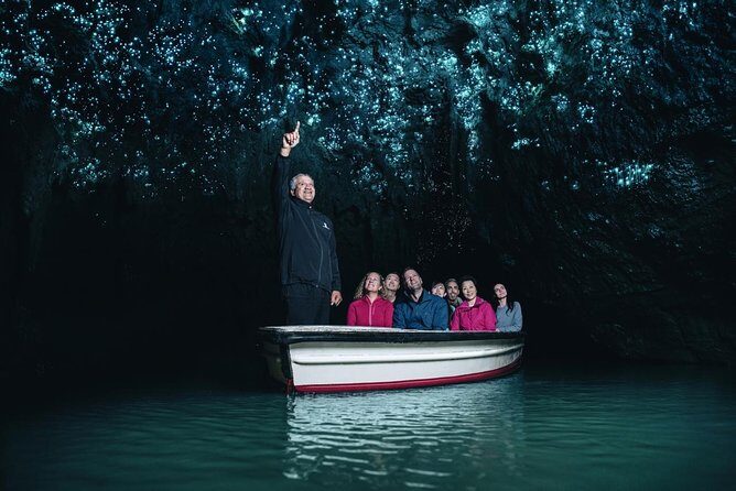 Waitomo GlowWorm cave & Sanctuary Mountain Ancient Walk Tour - Experience the Best of New Zealand’s Natural Wonders in One Day