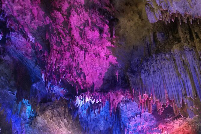 Waitomo Glowworm Caves and Hamilton Gardens Tour - The Itinerary Breakdown: What You Can Expect