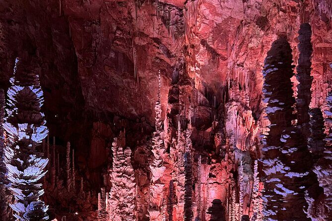 Waitomo Glowworm Caves and Hamilton Gardens Tour - FAQ