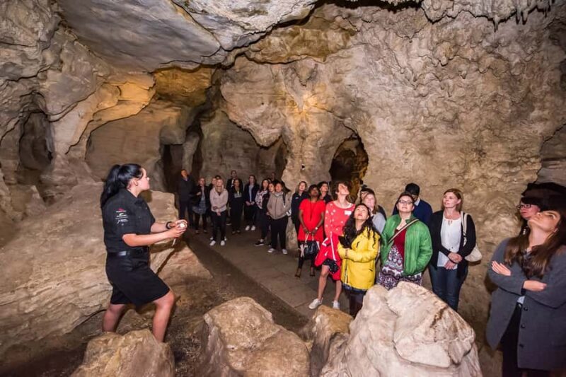 Waitomo: Glowworm Caves Guided Tour by Boat - A Closer Look at the Waitomo Glowworm Caves Guided Tour