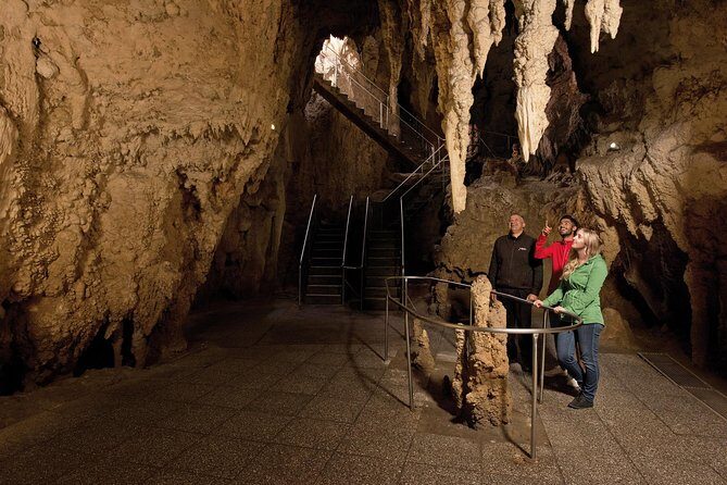 Waitomo Glowworm Caves Guided Tour - Who Will Love This Tour?