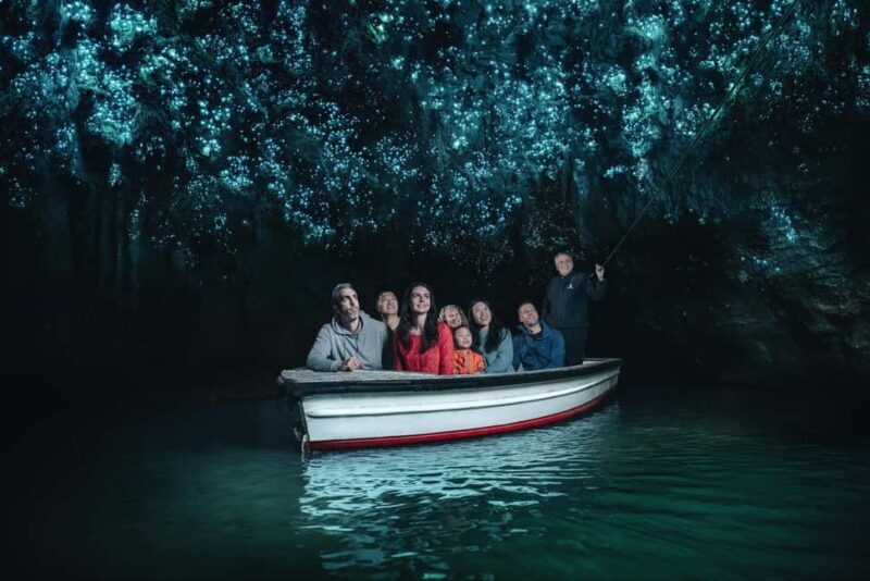 WAITOMO GLOWWORM CAVES & HAMILTON GARDENS - PRIVATE TOUR - Key Points