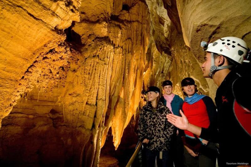 WAITOMO GLOWWORM CAVES & HAMILTON GARDENS - PRIVATE TOUR - Practical Details & Tips