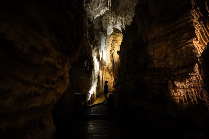 WAITOMO GLOWWORM & RUAKURI CAVES-PRIVATE TOUR FROM AUCKLAND - Experience the Magic of Waitomo and Ruakuri Caves: A Detailed Review