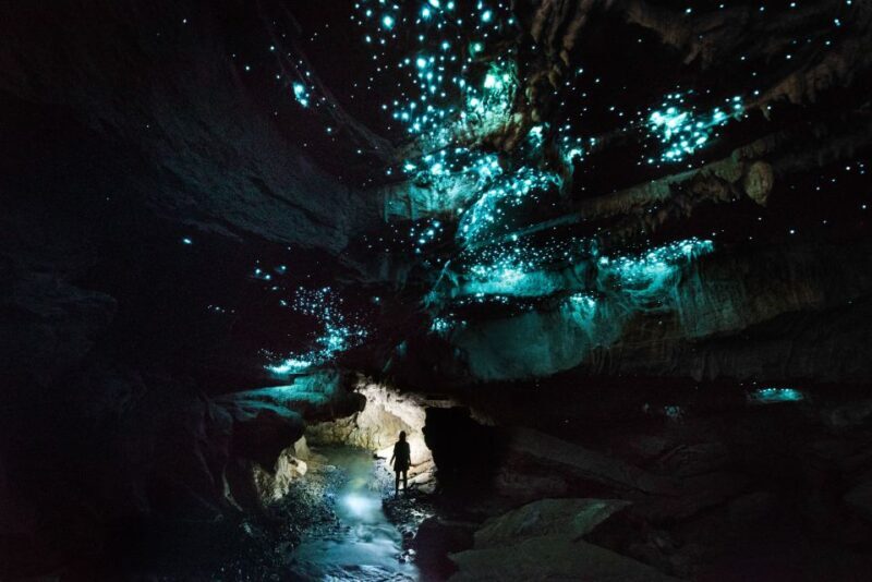 Waitomo: Guided Eco-Cave Tour - Key Points
