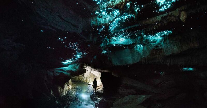 Waitomo: Guided Eco-Cave Tour - The Itinerary: A Day of Natural Wonders