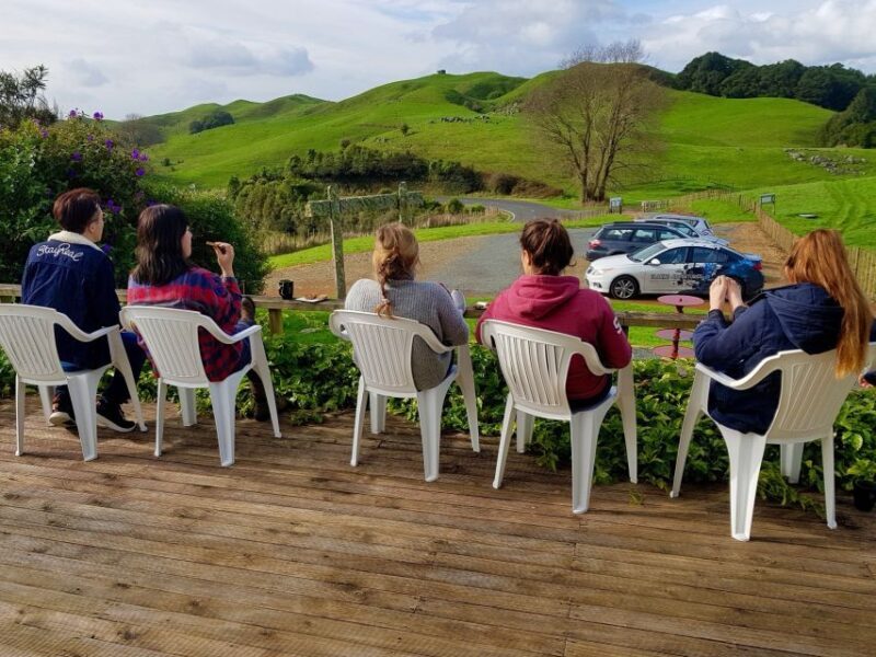 Waitomo: Guided Eco-Cave Tour - Authentic, Small-Group Caving in a Family-Run Setting