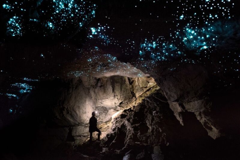 Waitomo: Guided Eco-Cave Tour - Frequently Asked Questions