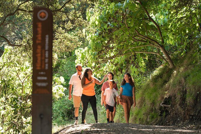 Waka Ama and Guided Walk at Mount Maunganui - Practical Details: What to Expect
