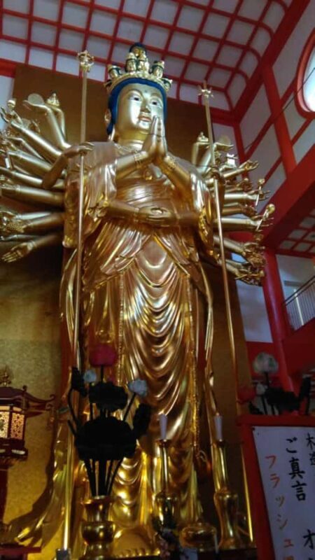 Wakayama: Around Wakaura Area Walking Tour with Local Guide - Key Points