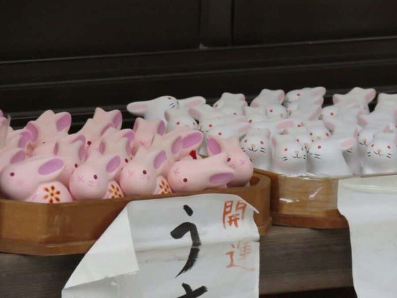 Wakayama: Around Wakaura Area Walking Tour with Local Guide - The Sum Up