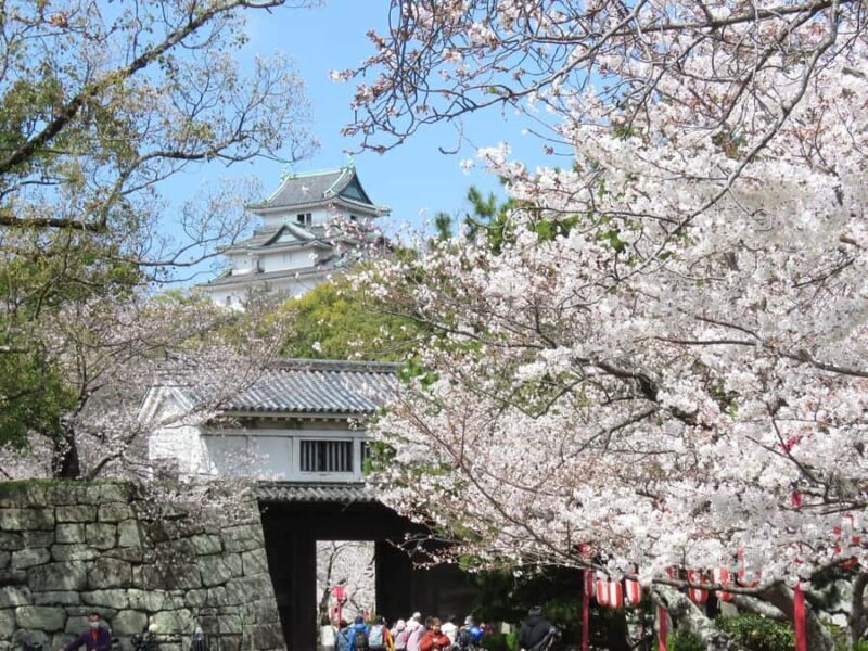 Wakayama: Authentic Samurai Lord Dining Experience - Key Points