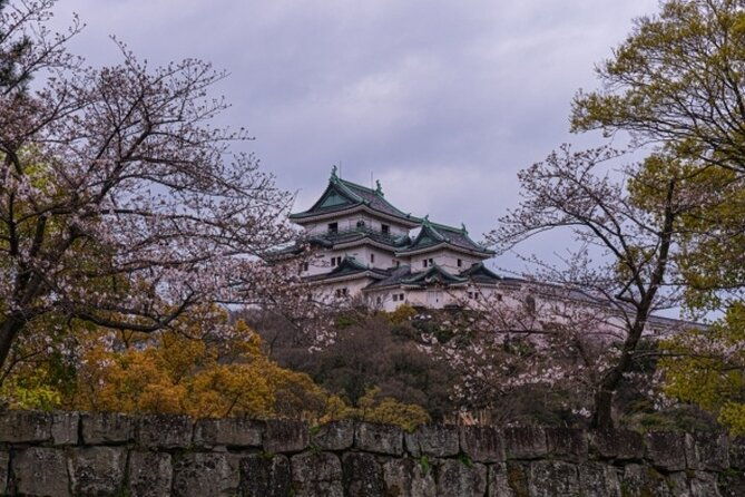 wakayama-castle-and-kuroshio-market-1-day-tour