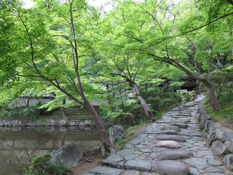 Wakayama: Castle Park Guided Walking Tour with Matcha - Exploring Wakayama Castle Park: What You Can Expect