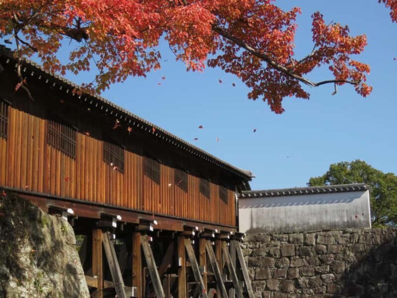 Wakayama: Castle Park Guided Walking Tour with Matcha - Price Analysis and Value