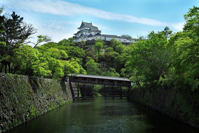 Wakayama Castle Walk A Short Guided Experience - Key Points