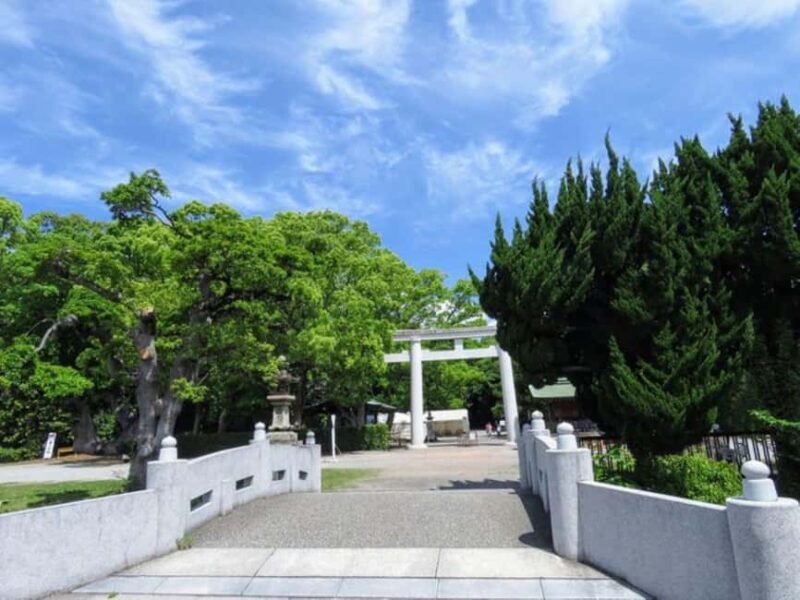 Wakayama: Cat Stationmasters and Local Myths, Train Tour - Key Points