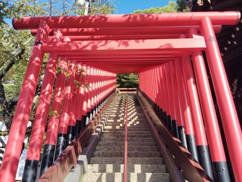 Wakayama: Discover the Sacred Beauty of Kimiidera - The Sum Up