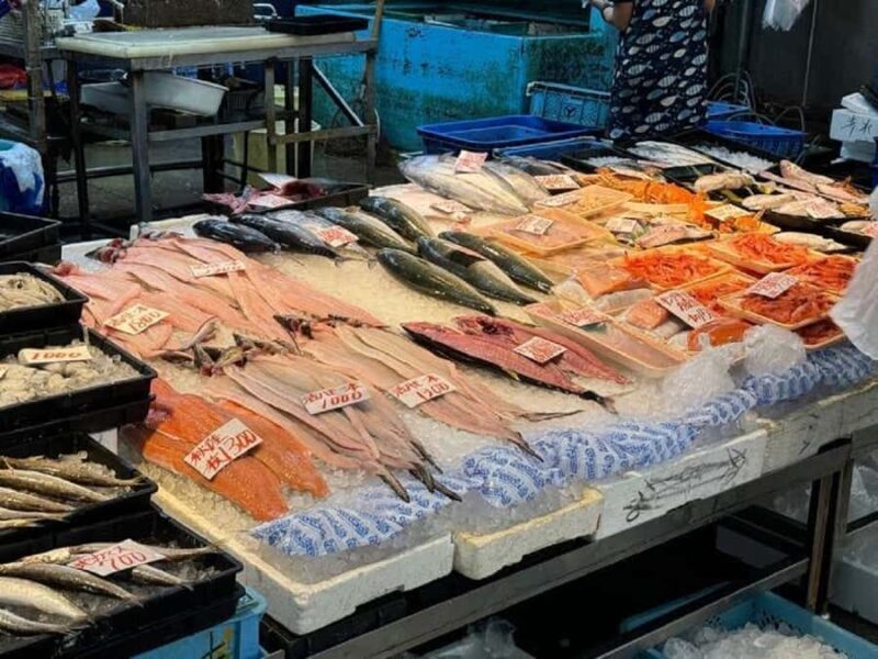 Wakayama: Explore Japans Seafood Culture at Kuroshio Market - Introduction: What You Can Expect from the Kuroshio Market Tour