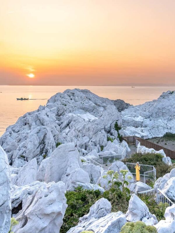 Wakayama: Hidden Coastal Nature & Sunset Tour From Osaka - An In-Depth Look at the Wakayama Coastal & Cultural Tour