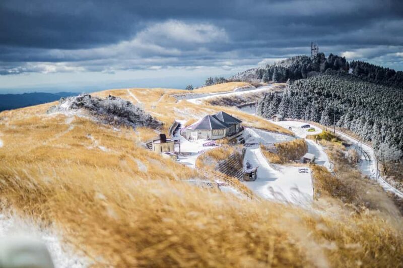 Wakayama: Hidden Coastal Nature & Sunset Tour From Osaka - Wakayama Castle: A Tranquil Historic Landmark