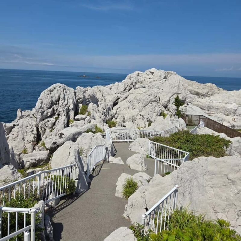 Wakayama: Hidden Coastal Nature & Sunset Tour From Osaka - Who Would Enjoy This Tour?