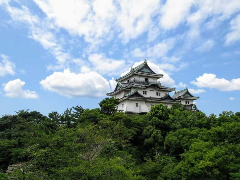 Wakayama: Historical Costume Rental and Castle Tour - Exploring Wakayama Castle in Costume: What to Expect