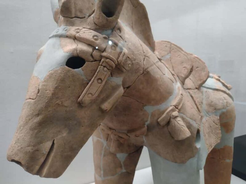 Wakayama: Iwase-Senzuka Ancient Tomb Cluster Tour - Key Points