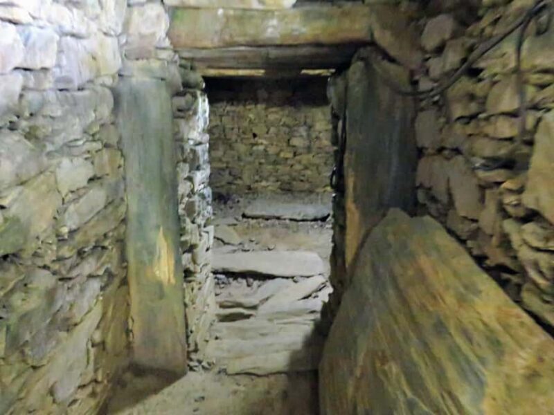 Wakayama: Iwase-Senzuka Ancient Tomb Cluster Tour - Final Thoughts